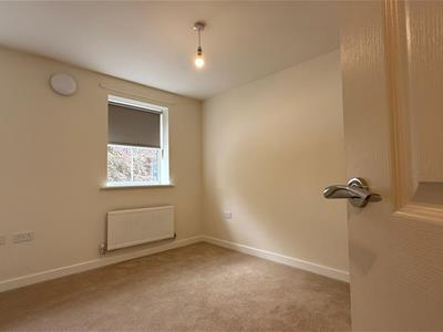Picture 24